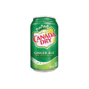 Canada Dry Ginger Ale 330ml